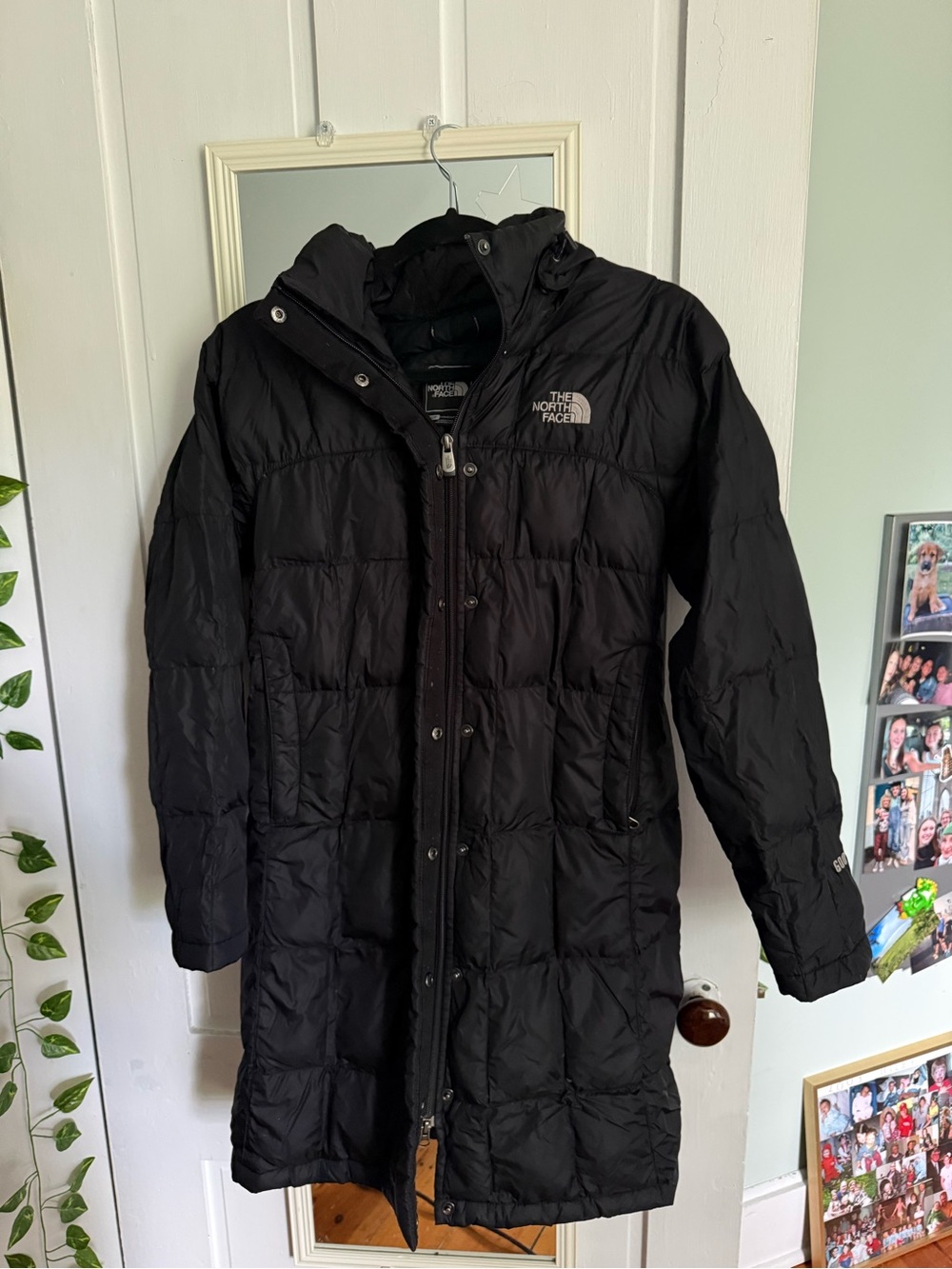 The North Face long down puffer jacket
